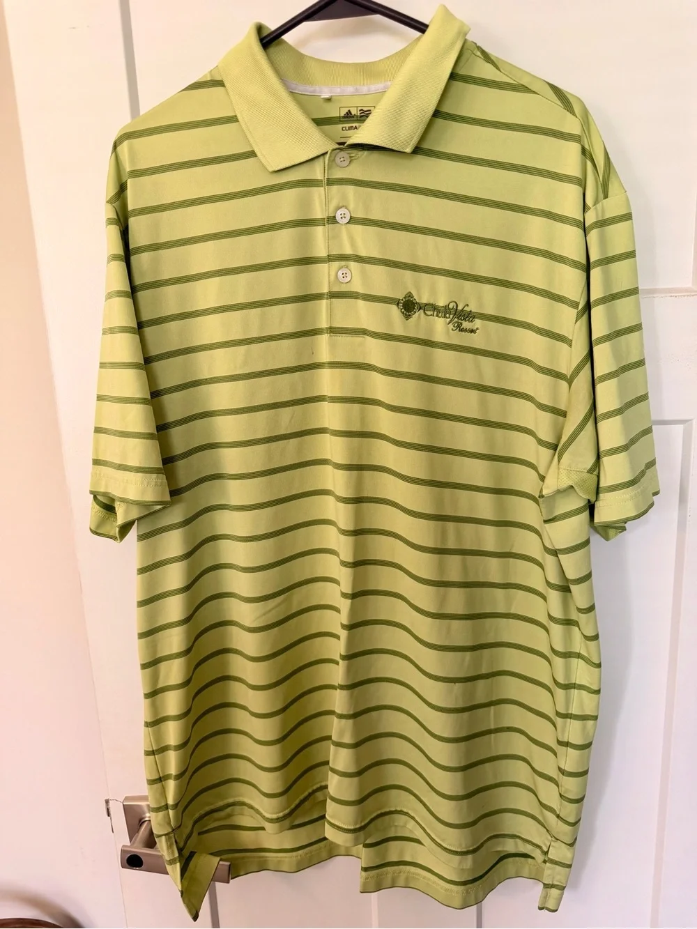 Light Green Striped Men’s Polo Shirt